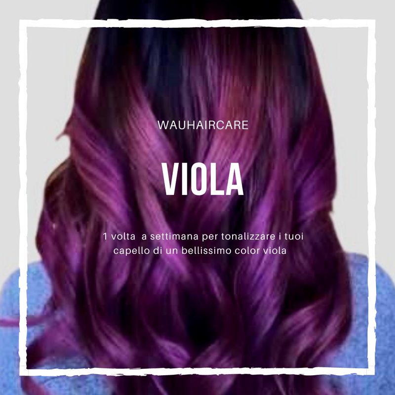 SET VIOLA